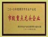 市級(jí)重點(diǎn)龍頭企業(yè)